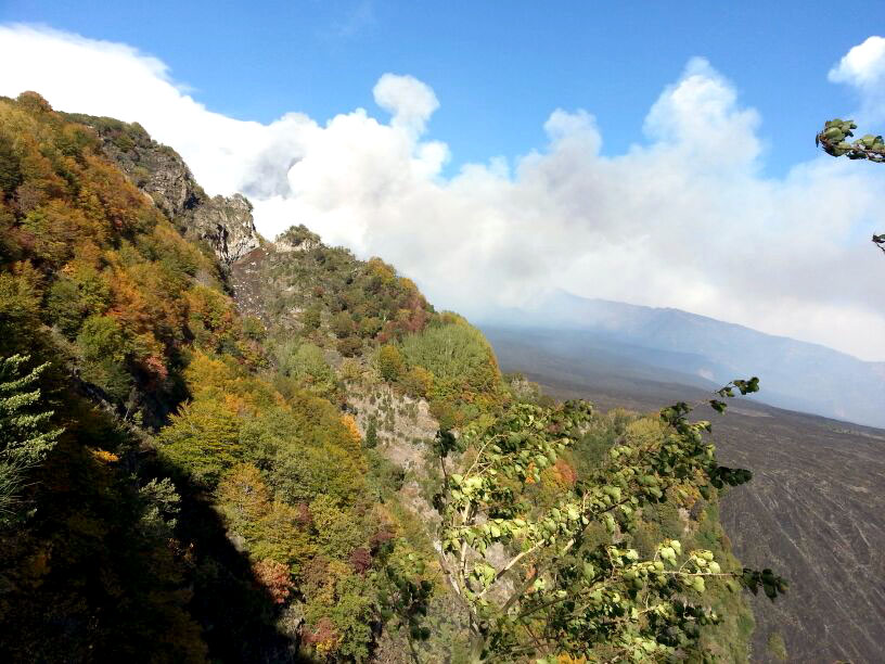 Etna Panoramic View